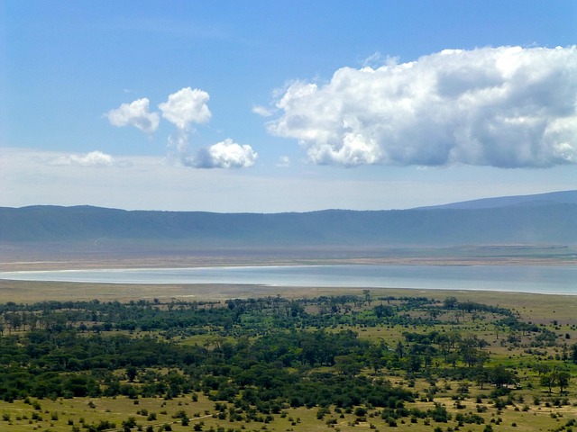 Great Migration wildebeest herd in Tanzania's Serengeti