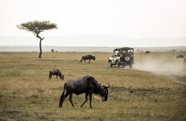Grand East Africa and Indian Ocean islands grand tour itinerary