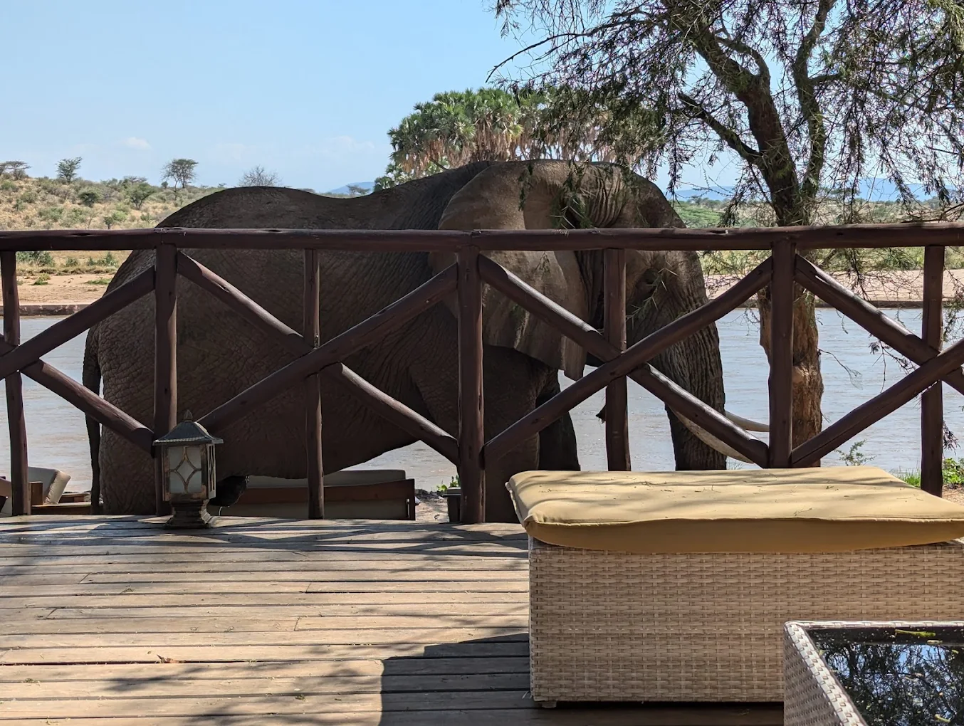 Elephant Bedroom Camp