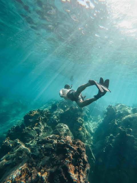 Snorkeling & Diving in the Indian Ocean