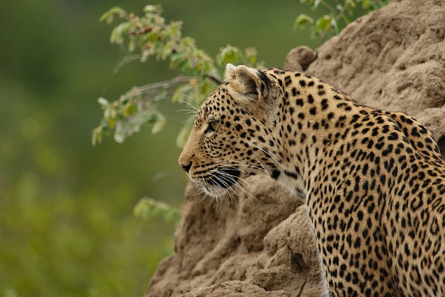 Complete East Africa safari and Zanzibar itinerary
