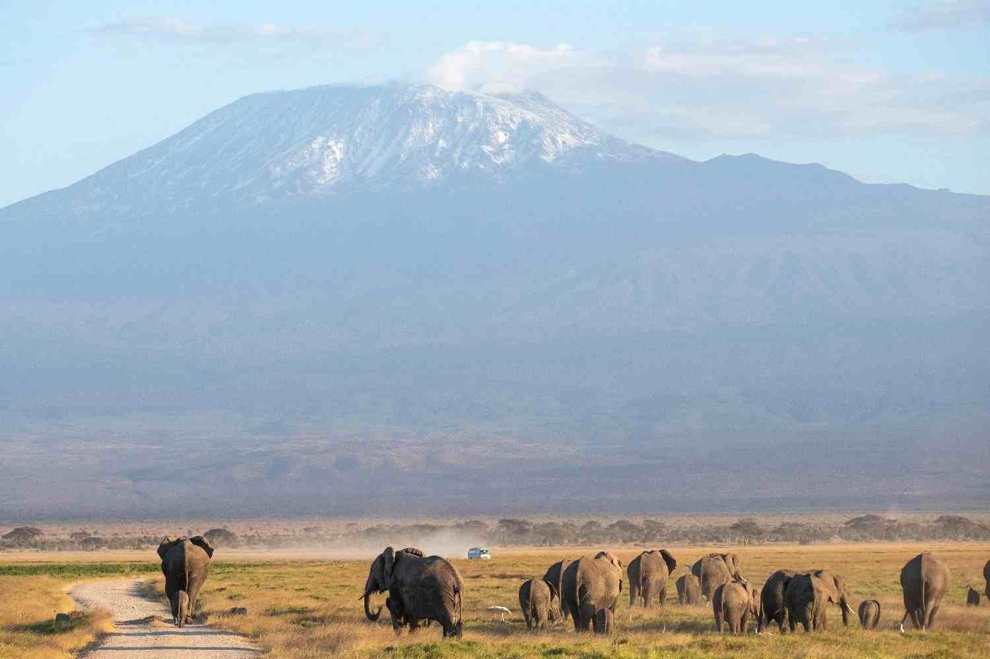 14 Day Four Country Safari: Uganda, Rwanda, Kenya and Tanzania