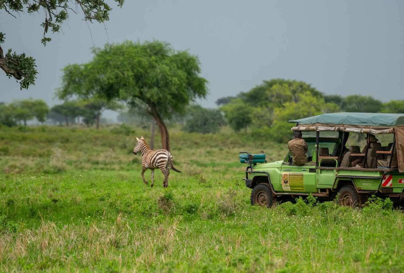 Uganda Trips Discover the Magic of Lake Mburo National Park