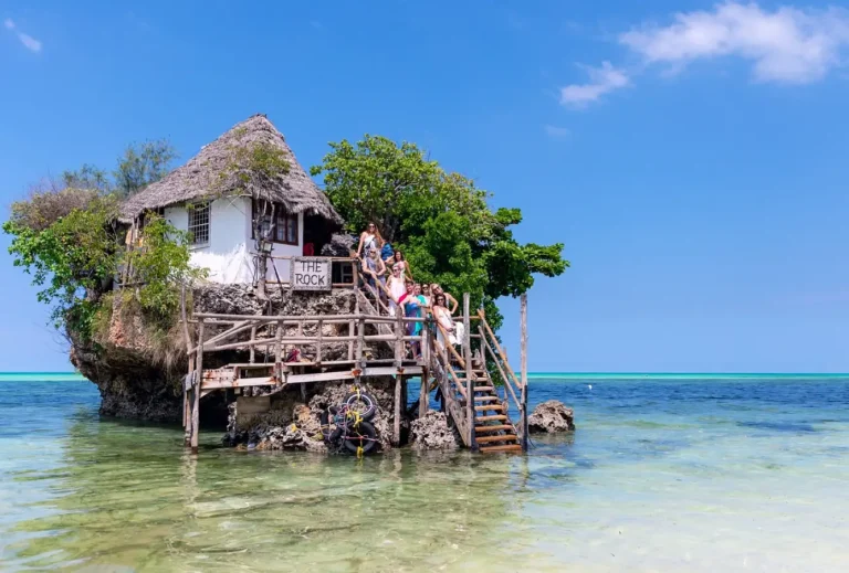 paramount gorilla expeditions zanzibar