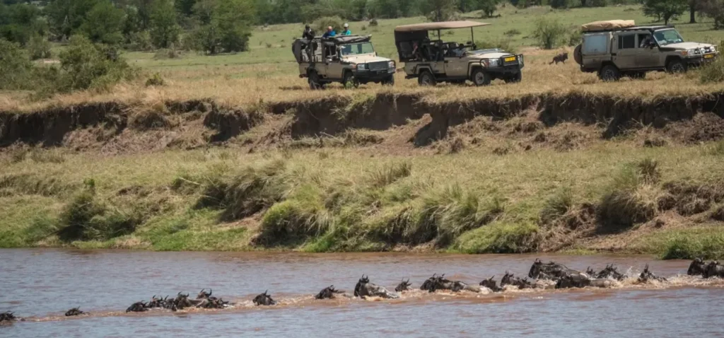 gorillatrekking paramountgorilla mara river
