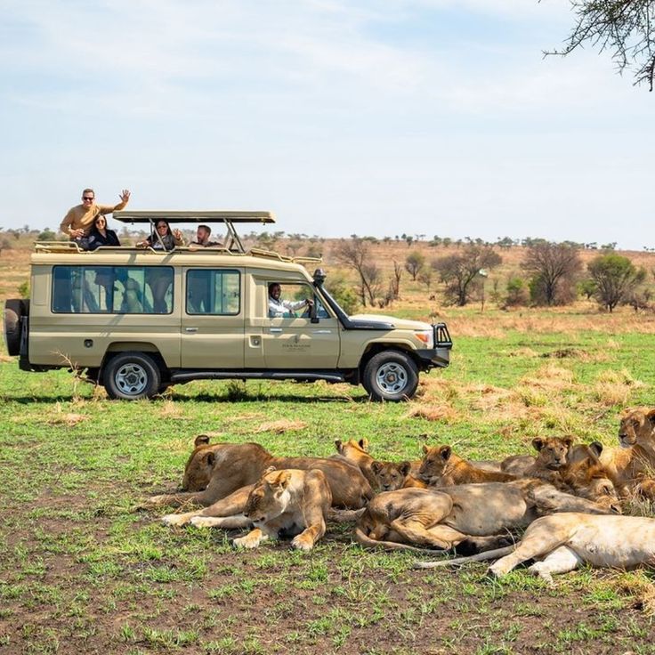 12 Day Uganda Safari Holiday paramount gorilla rwanda uganda