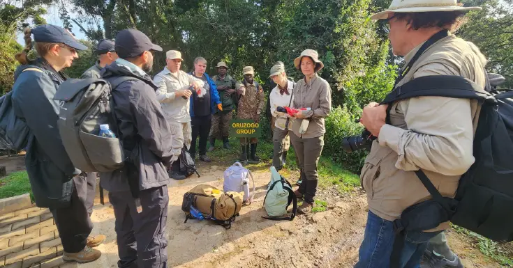 paramountgorilla (1)