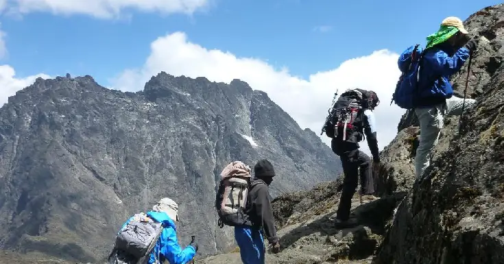 paramountgorilla (4)