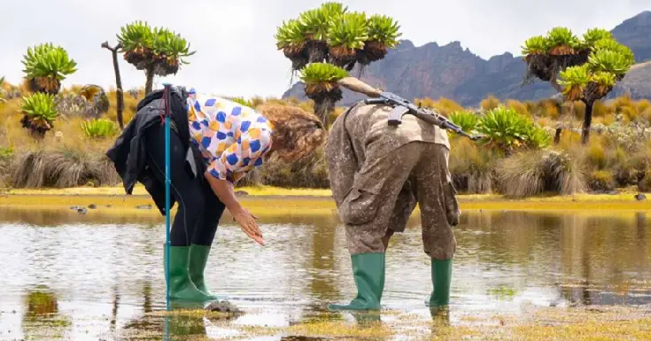 Uganda Trips Mt. Elgon National Park