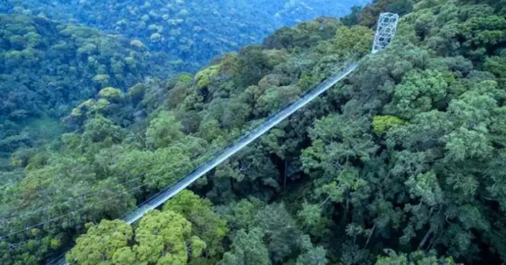 Rwanda Trips Nyungwe National Park