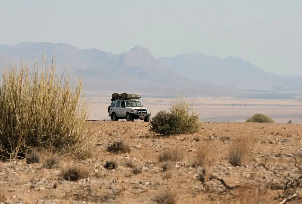 paramount gorilla expeditions safariafrica