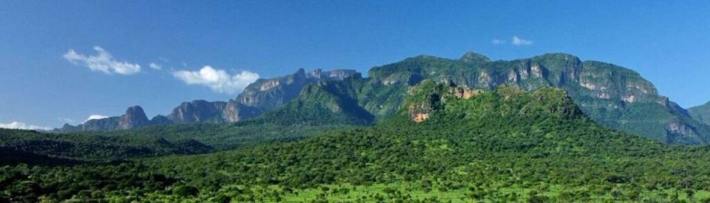 Exploring Pian-Upe, Bokora, Matheniko, and Ajai Wildlife Reserves pian upe (2)